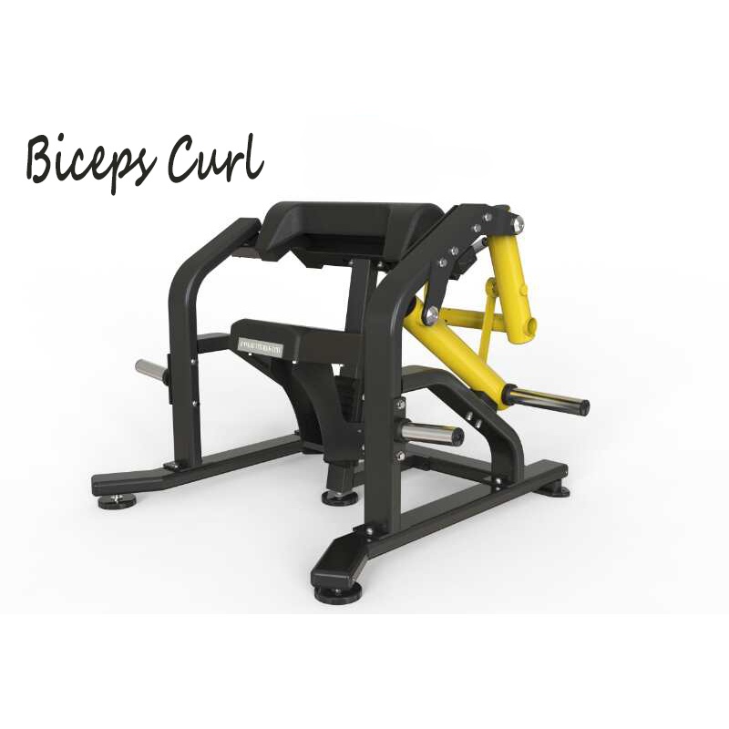 Bicipes Curl