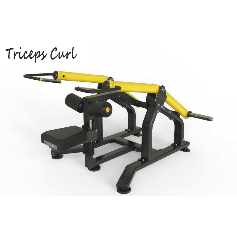 Tricipes curl